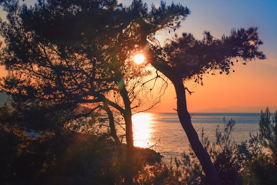 Accessoires coiffure : pourquoi tant d'entre nous capitulent ? - illustration 1