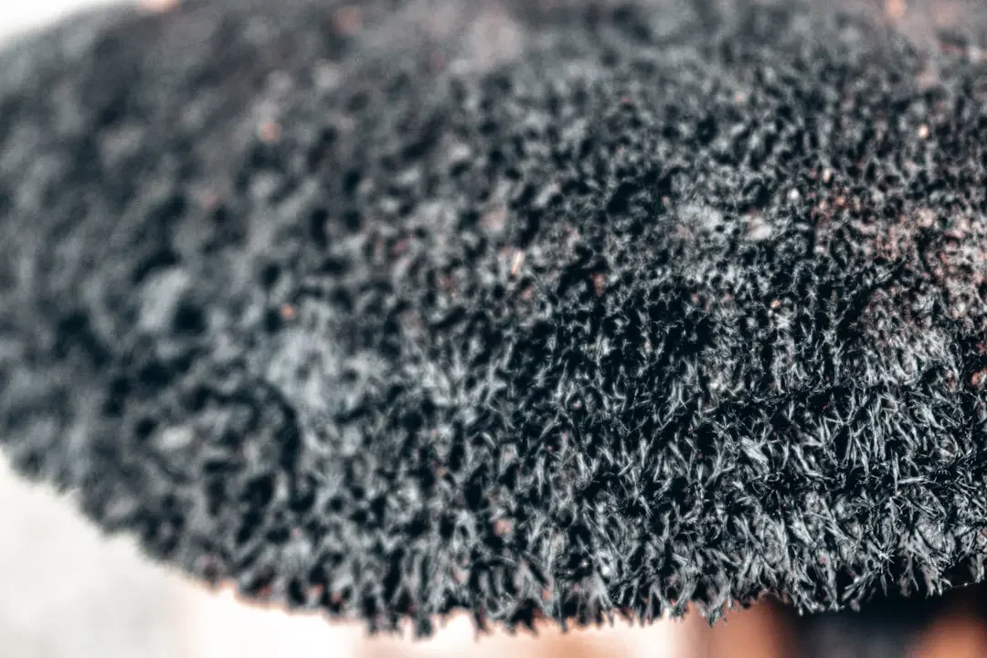 Cheveux abîmés par la chaleur ? Le guide post-lissage 2026 - illustration 1